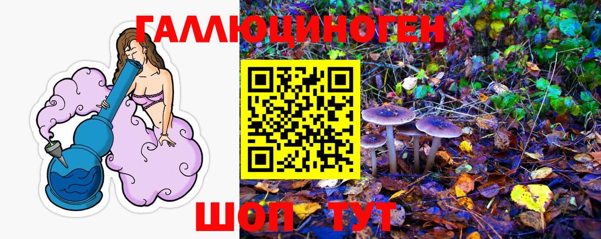 Нефтекумск  Псилоцибиновые грибы MAGIC MUSHROOMS  Псилоцибиновые грибы Psilocybine cubensis  Вход с VPN 